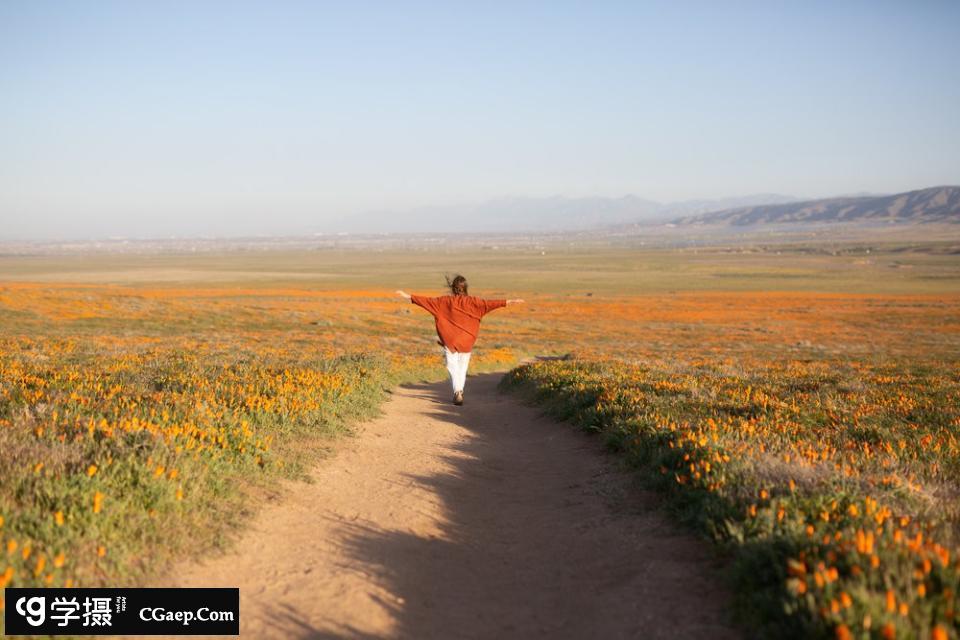 0d0fc42942ae4f3cf132f0993a1ed861