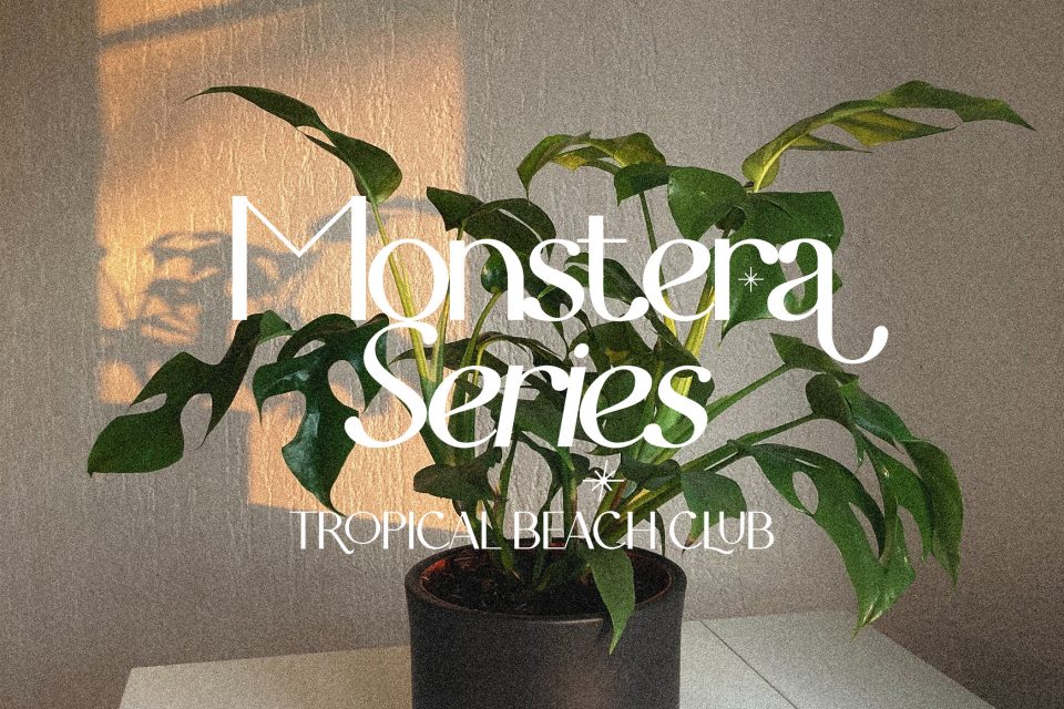 21b95e82dadd35cacf4e8a479c6ce93e