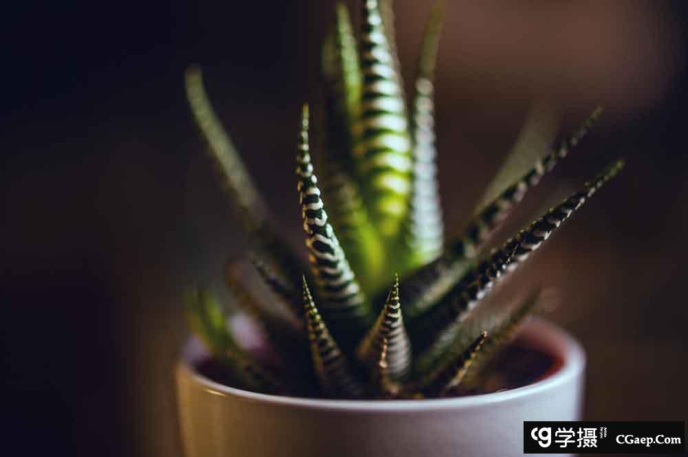 347e209e7e5da7745e64c6e111e8be98