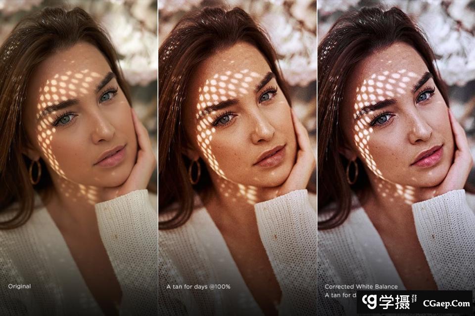 53d97482342f727ec8bee75c5830b99b