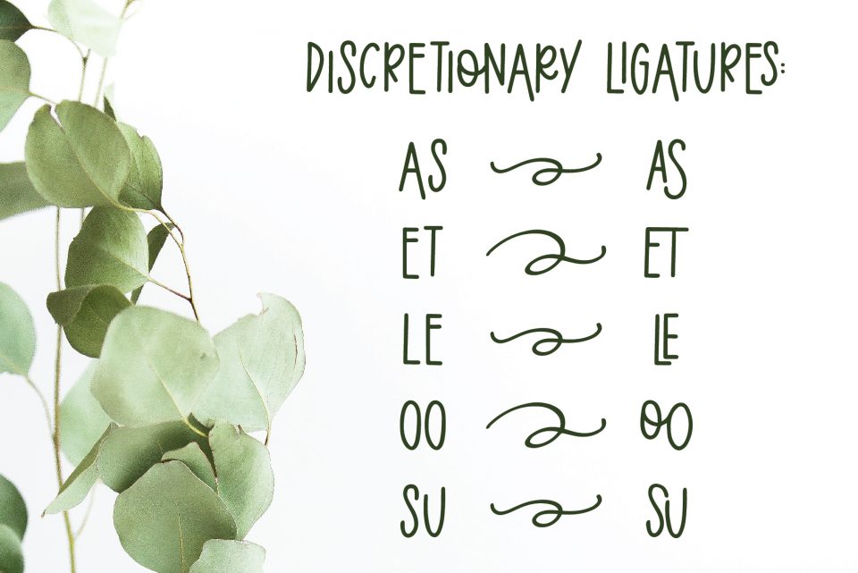 56d4969686fda61312efb02c9c051cf2