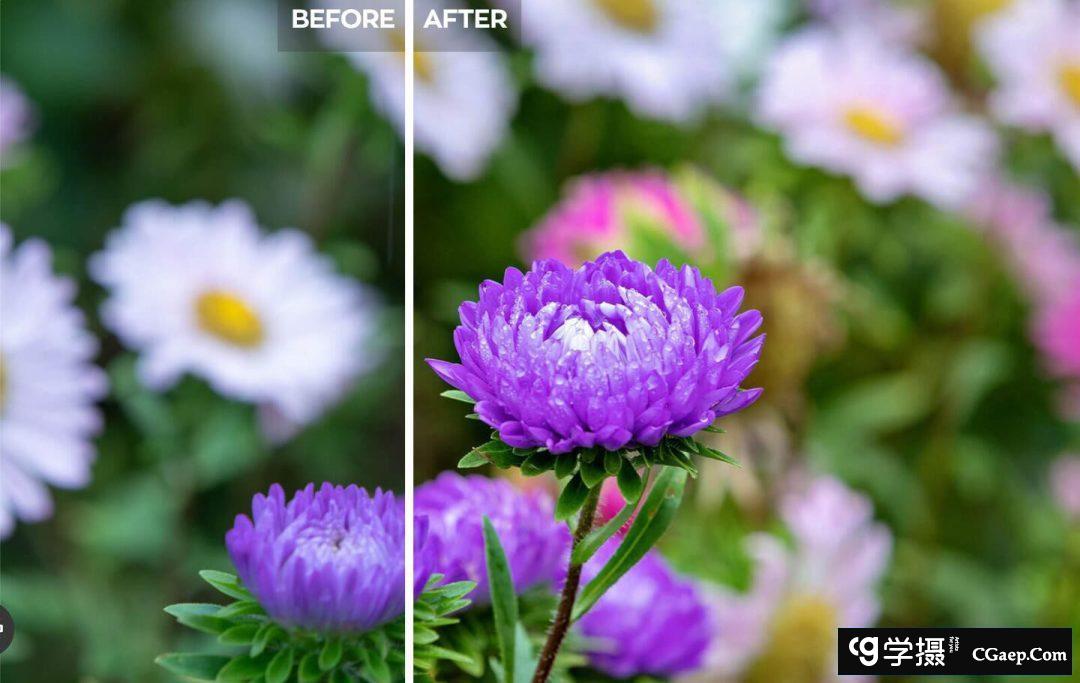 56f835aed6c789b3c340c1237071a378 56f835aed6c789b3c340c1237071a378