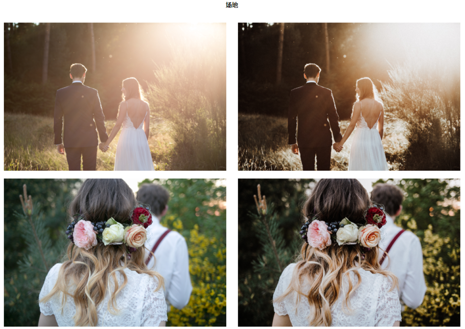 5cc5d4f56c1252ac4c20badae8f01f59