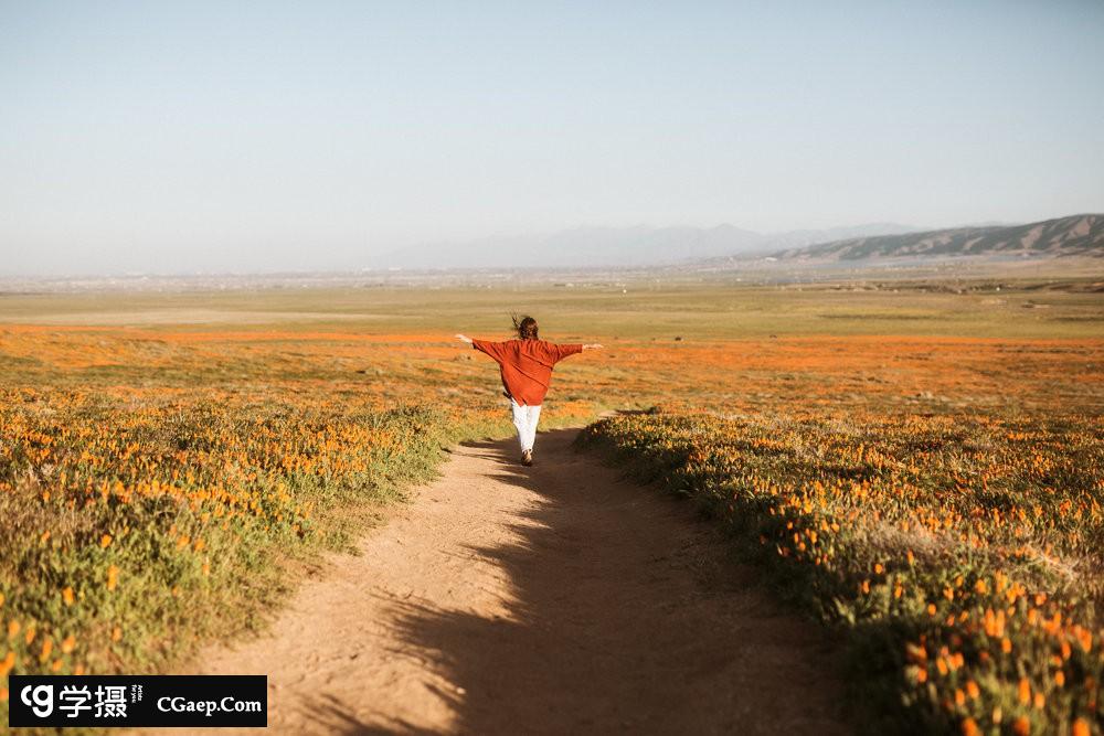 69e35a0caf9021db5e1db721ec2dd9ef