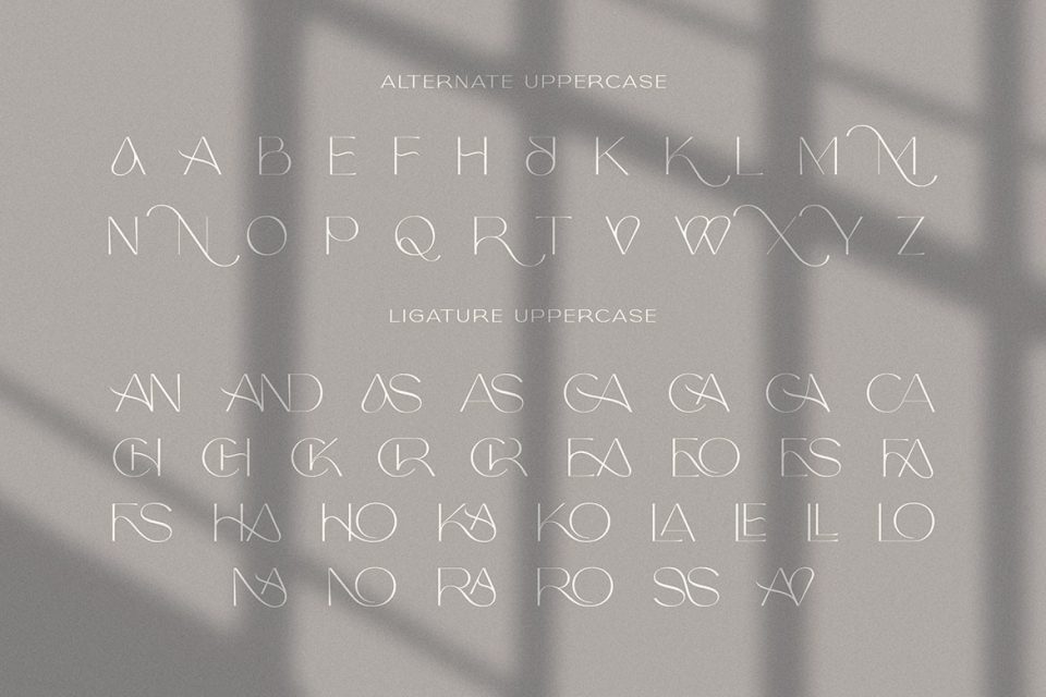 707271dbb0154561c530e435cf1f00c8