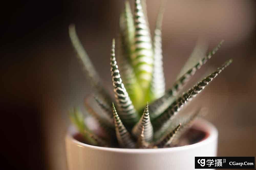 7836c478ae51723a683c611147fb9706