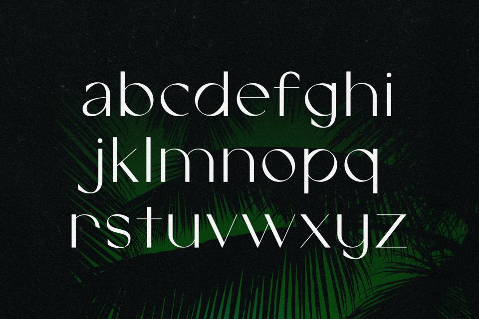 845e020b926bc49cab1f41c41070486d