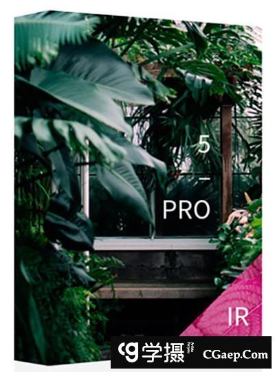 8741d08c50ce7326bf86a5c93e11c650-1