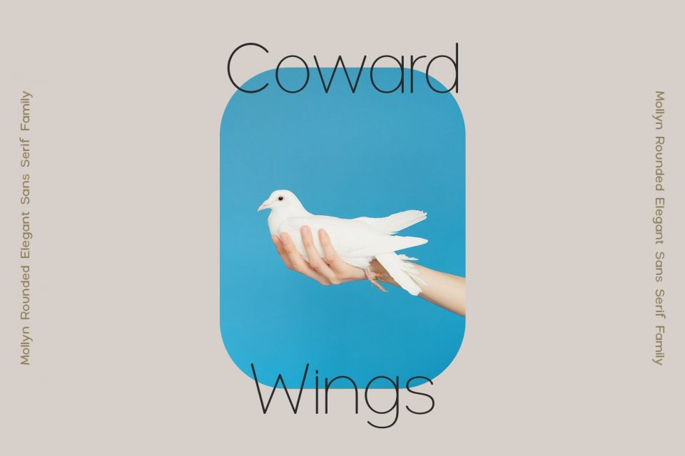 9a487c2000279168383e7afa0a57e884