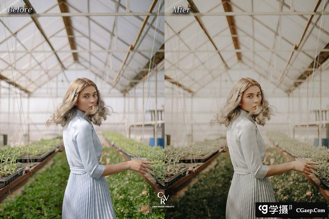 9d22105ef5def8e8a930153cc6245379