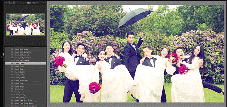 9ef3192211e4d8705ba5a96bf3722584