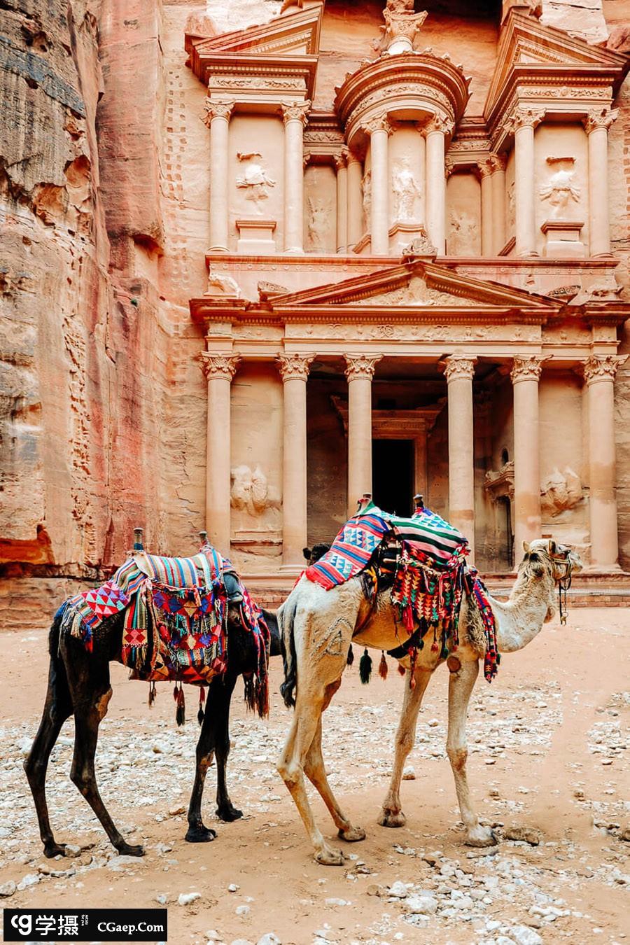 c141a6dc9fb7a3dbede633428e72482d