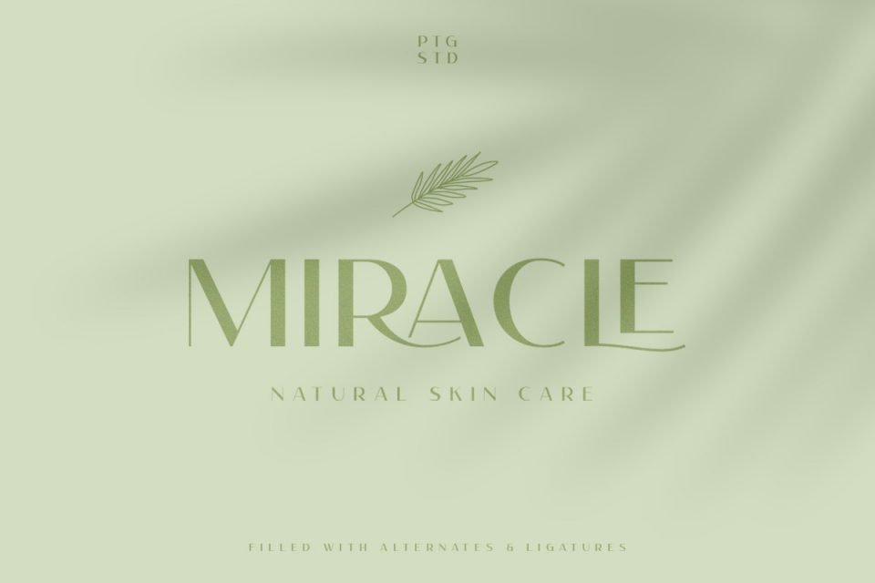 c1f9ceb4c3468341a3dd89944b4ef7d5