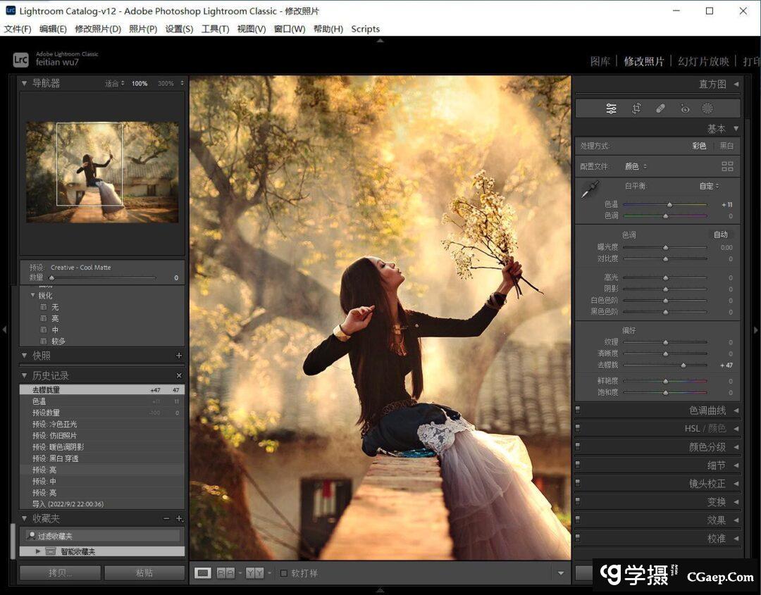 c488eb405171e46d9b4bd323639c9751