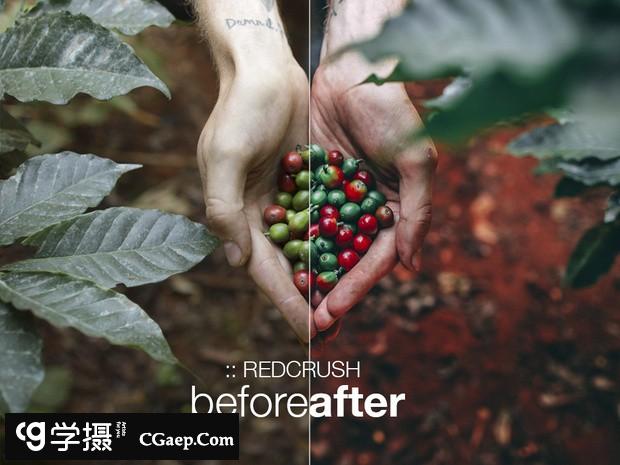 ca416b63040abb01d6f3f6ee1780cbe1