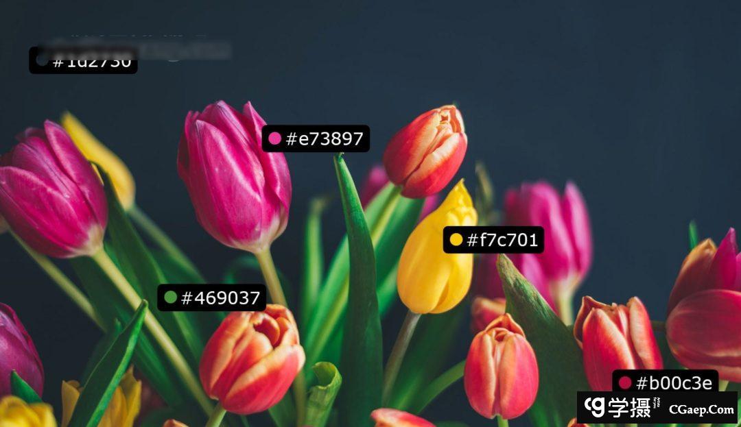 d2090e7f784c1cfff108db93d6fc256e