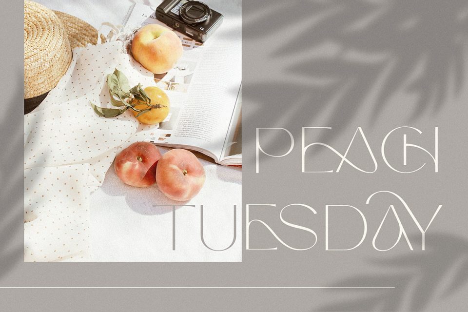 d26af74a3fab2ff98cb787eeda47a75c