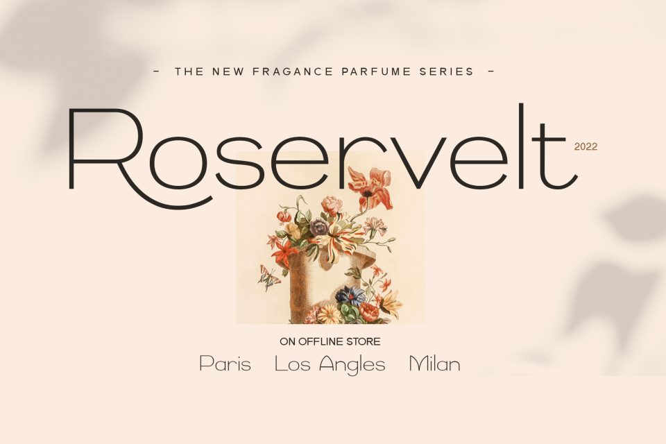 da65d2d444308698765bfff27b66df65