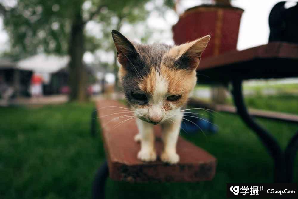 f9b57e88c6b69d4f6f18e6883d2f62cf