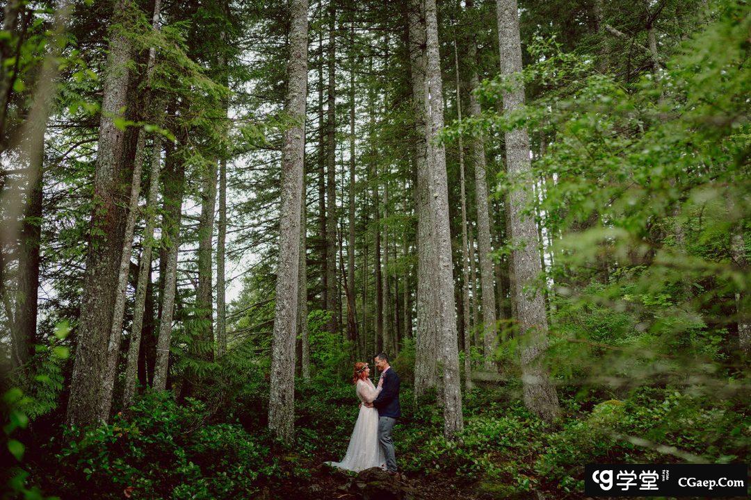 01e3fee930f7bd7f133db426c03dd72d