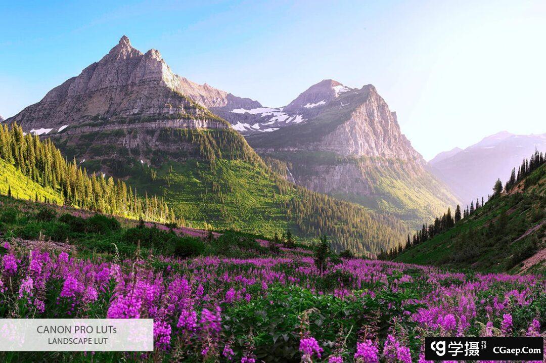 09f1bf799bad13df4d193e78106b3e31