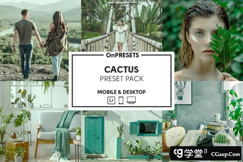 INS风格人像清新绿色调Lightroom预设 OnPresets -CACTUS