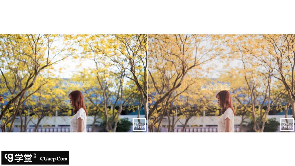 14dc09a5738cfc765a651d14aa24cc3c