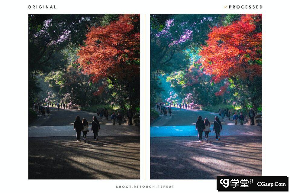 152116ce512969b9d51146fc6f9f3554 152116ce512969b9d51146fc6f9f3554