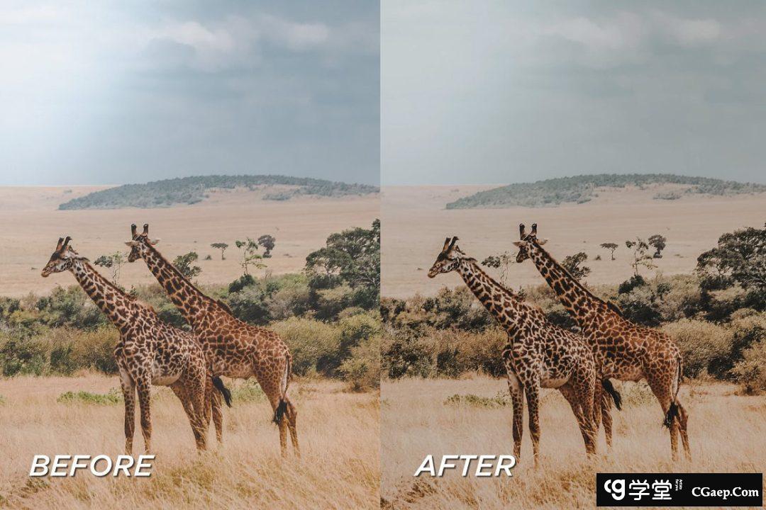 21b62ac5290572191510686491eedf4b