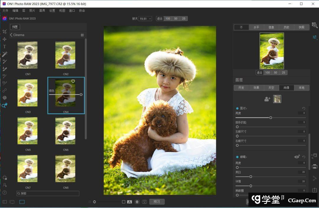 253acca42b85ea5819f056248a448ff0