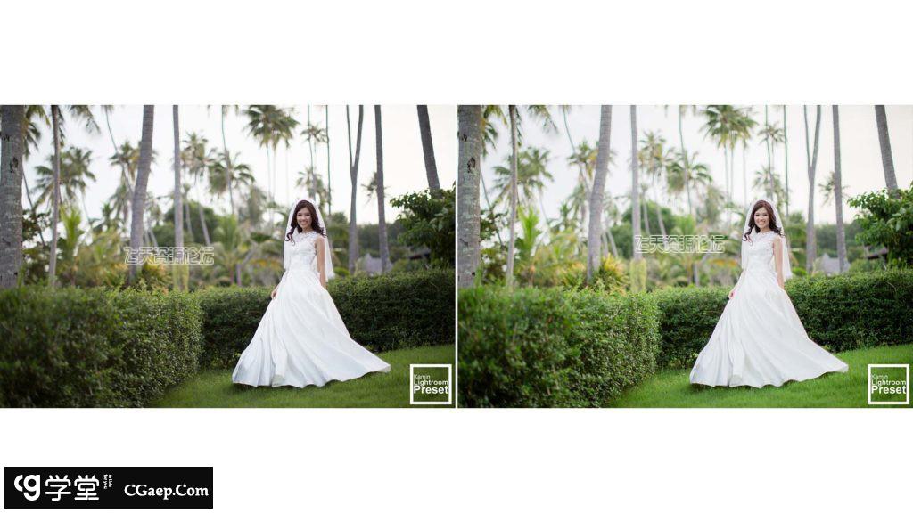 29ff6f034d3d1c9d1aee734d87f5ba71