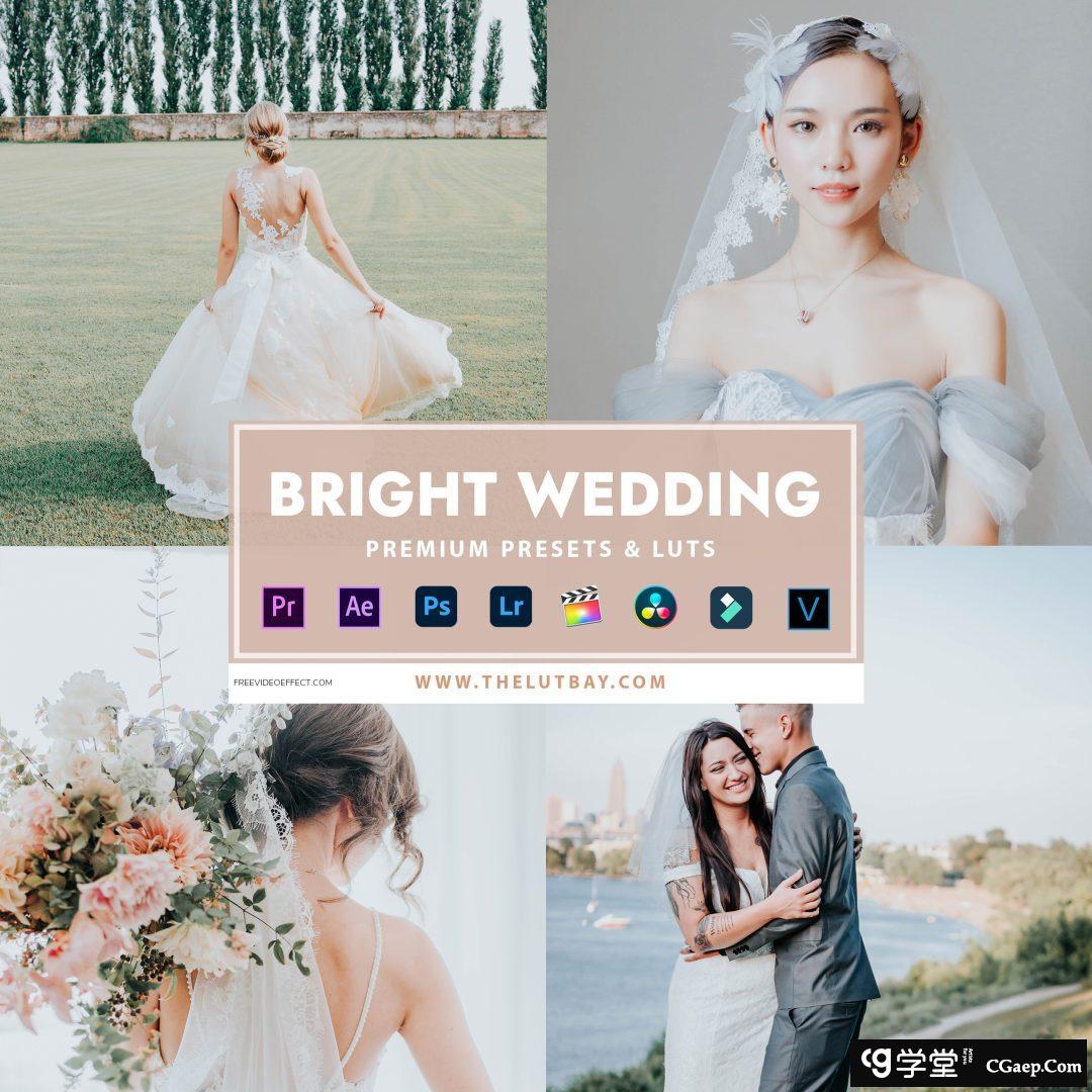 2a4096cc173f22ed4bbeeb2baa54b3eb