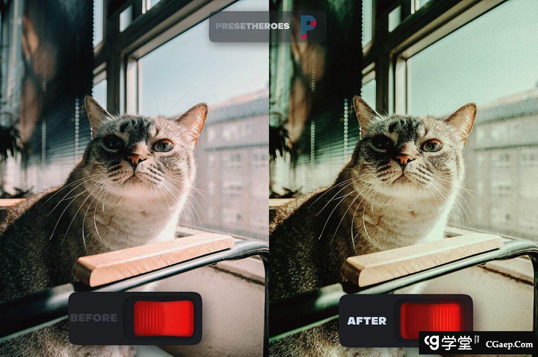 用于情绪片的人像合风光后期Lightroom预设N0MAD LIGHTROOM PRESETS V2