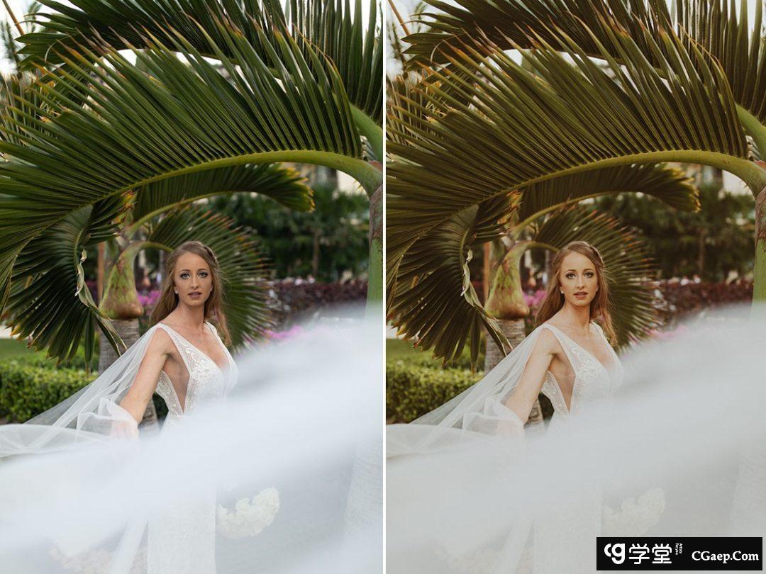 36bbcc0225f243f3029602d42e03fc54