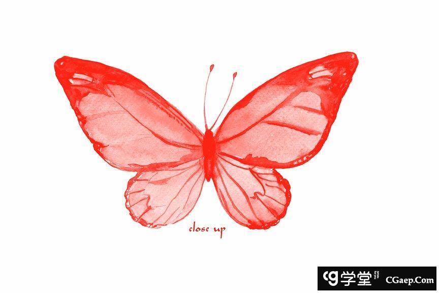 36d3dab4d808288e4d0c45cd325196d2