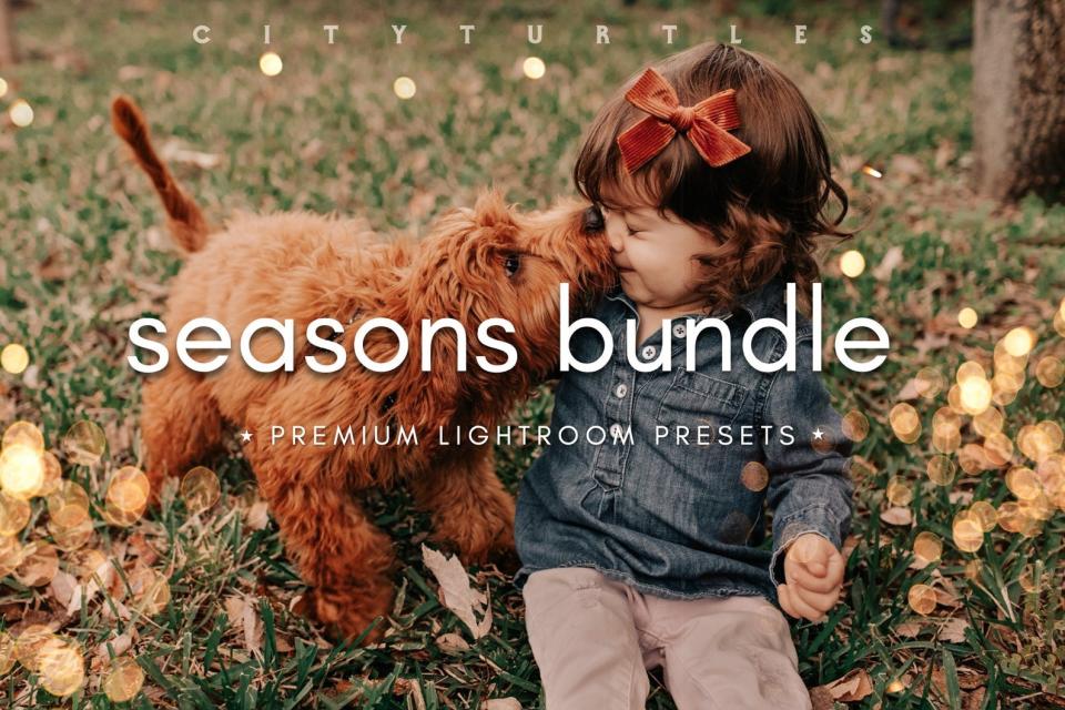 婴儿预设 自拍预设 婚礼预设SEASONS BUNDLE Lightroom 预设