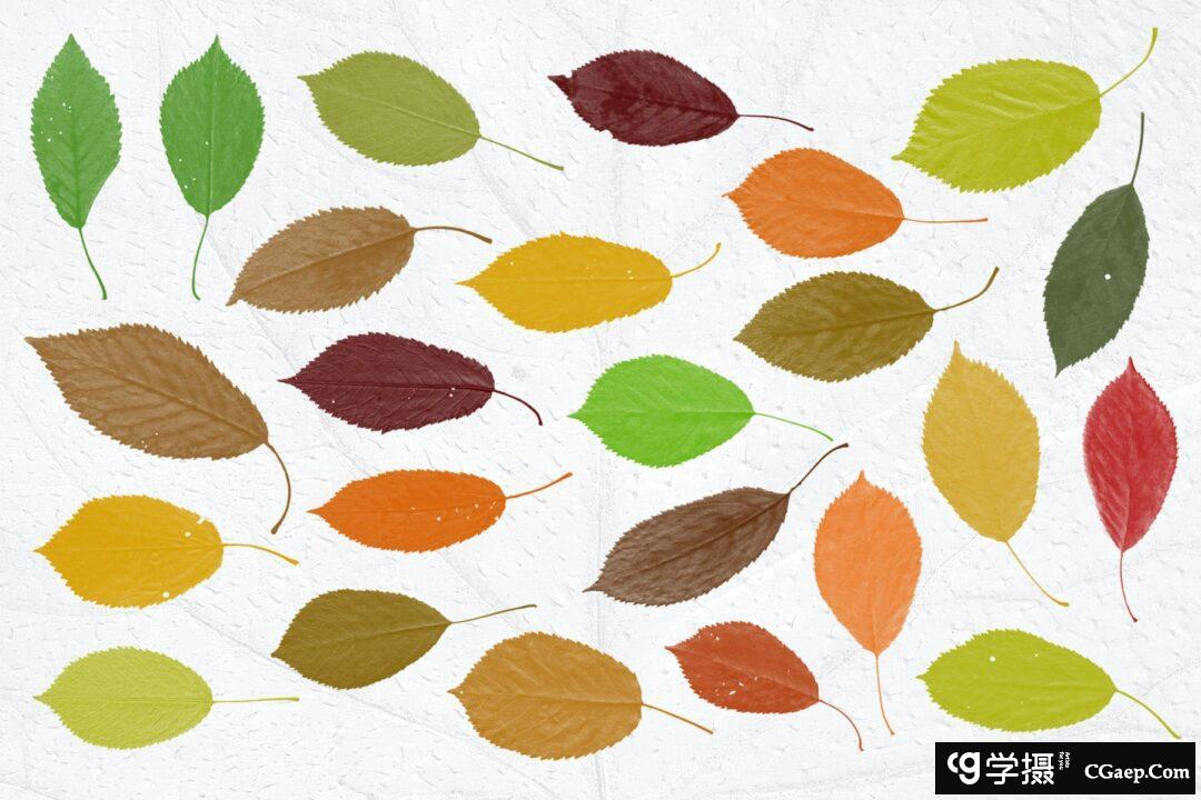 42c774e5e546df3c83eee09bad1c4335