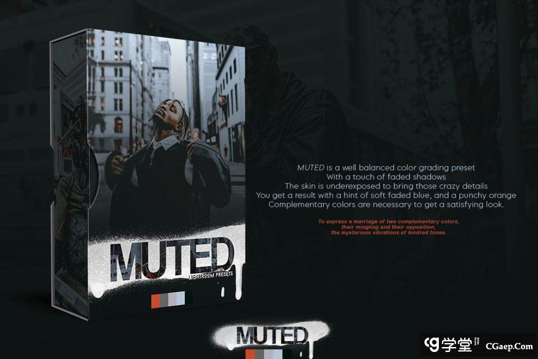 街拍蓝色和橙色时尚外观Lightroom预设 Muted Lightroom Presets