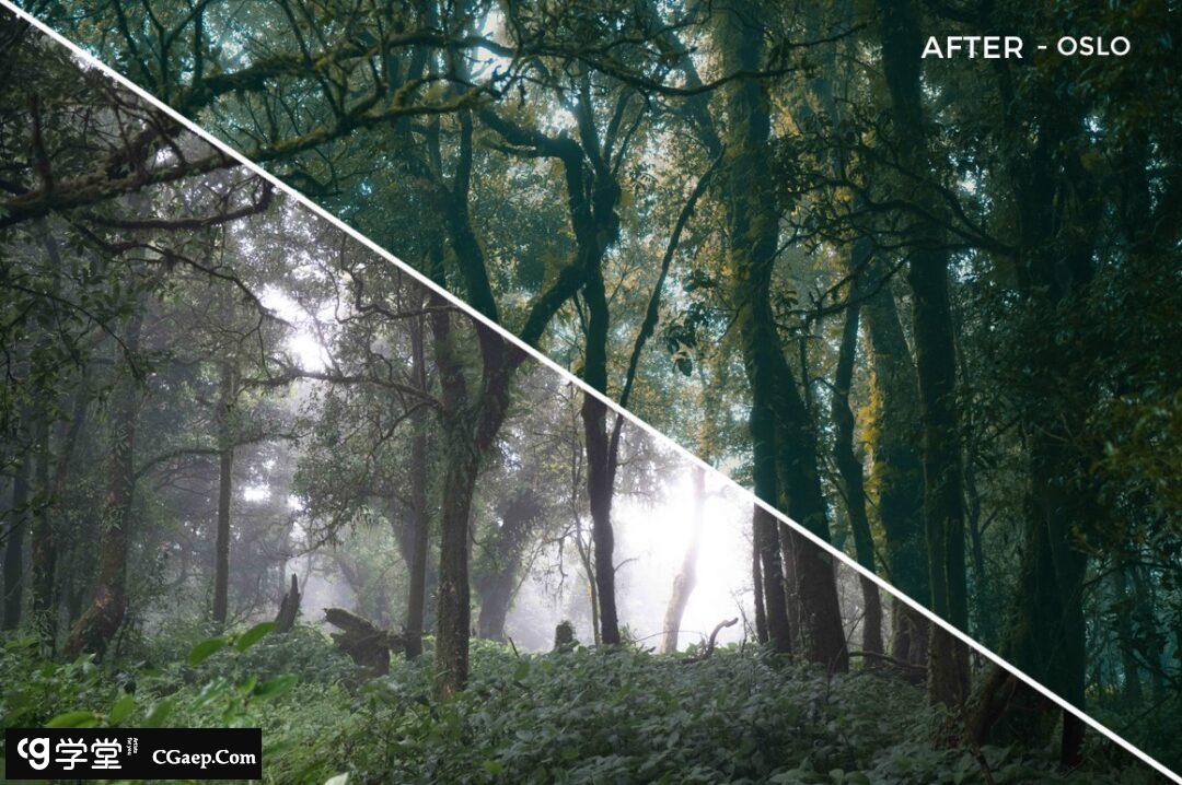 48ae2e81de56883ab7cab4f1c40a1e5b