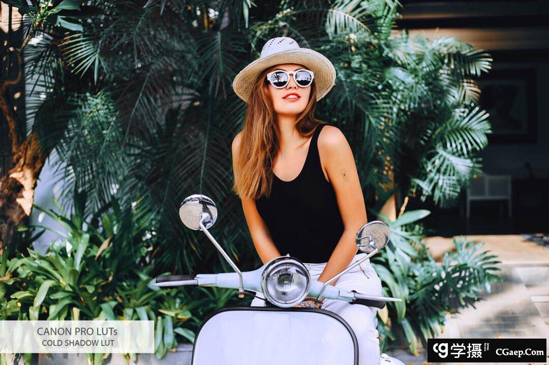 48ca61871165ec0352411032152c8862