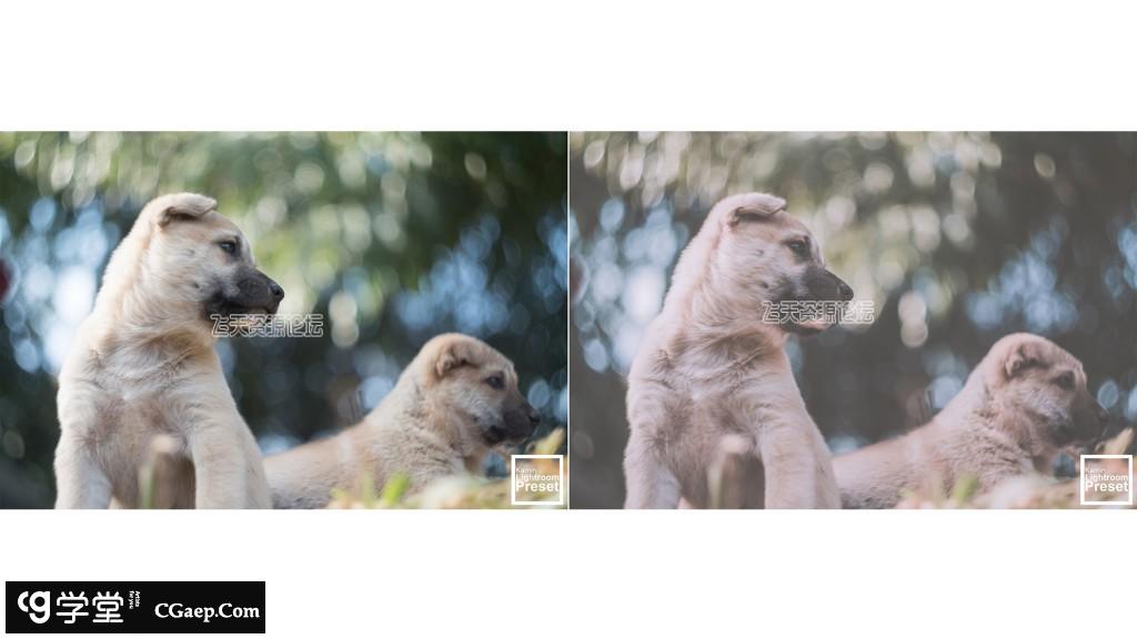 547b9af9765b1573c0b67e574d1c10e3