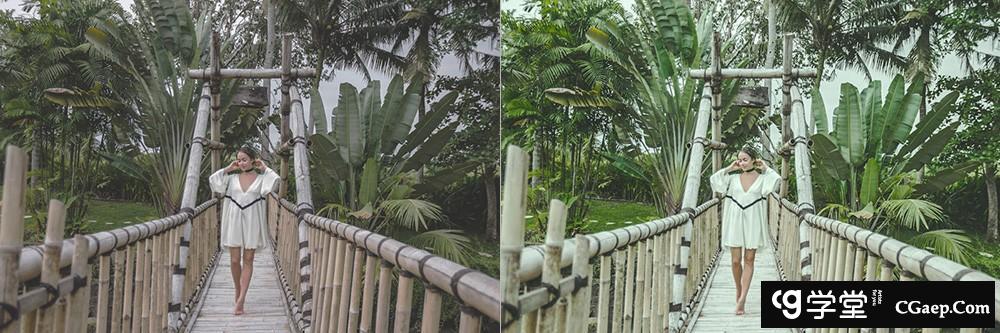 INS风格人像清新绿色调Lightroom预设 OnPresets -CACTUS