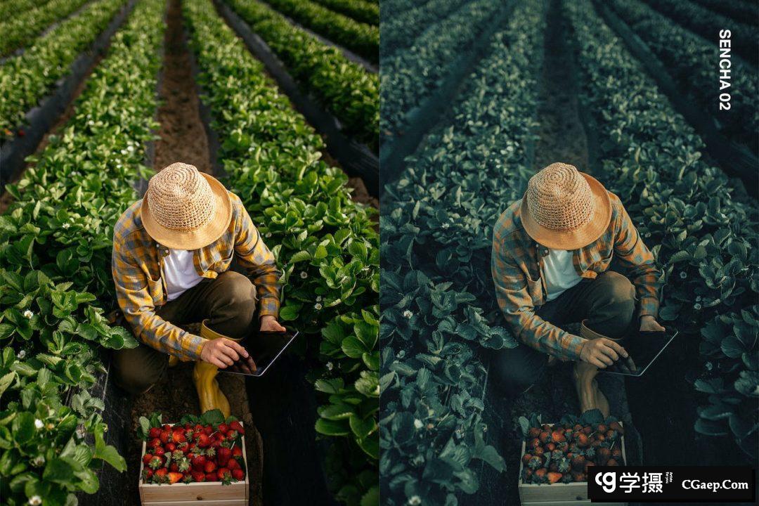 5e775a4d10c7236ef7fe7a036e32a3aa