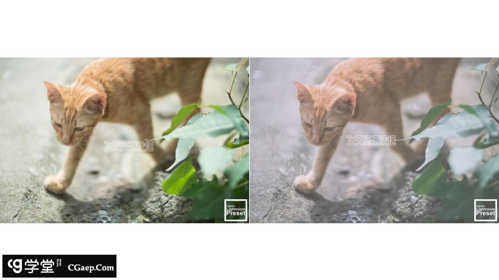 69eb6fac40e41a538a5197afd0b136a8