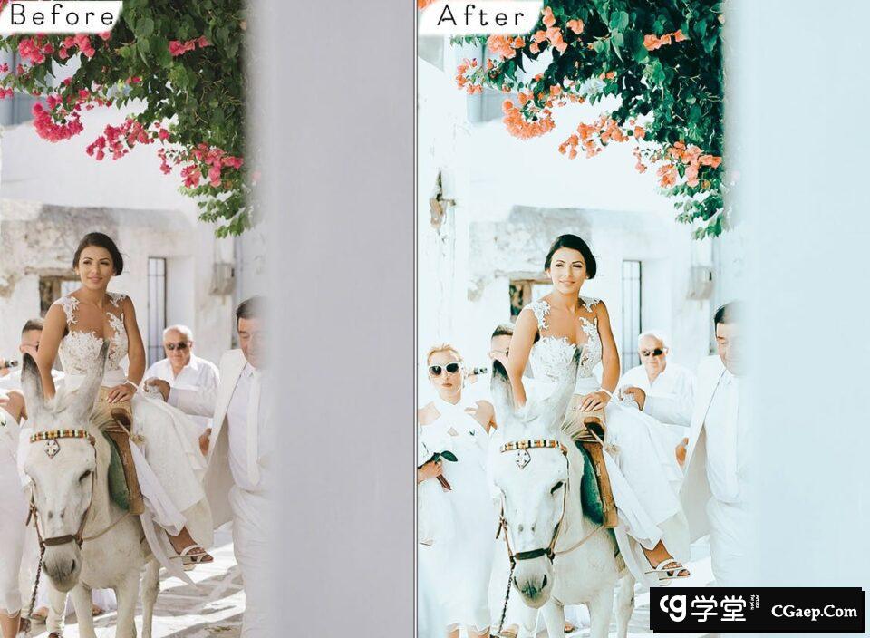 6a1194a07fc302a0b29381602226b2c1