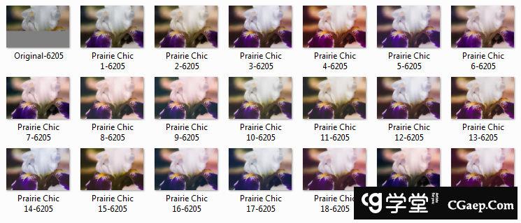 6a5d55b76064a348259dae968a0a3e45