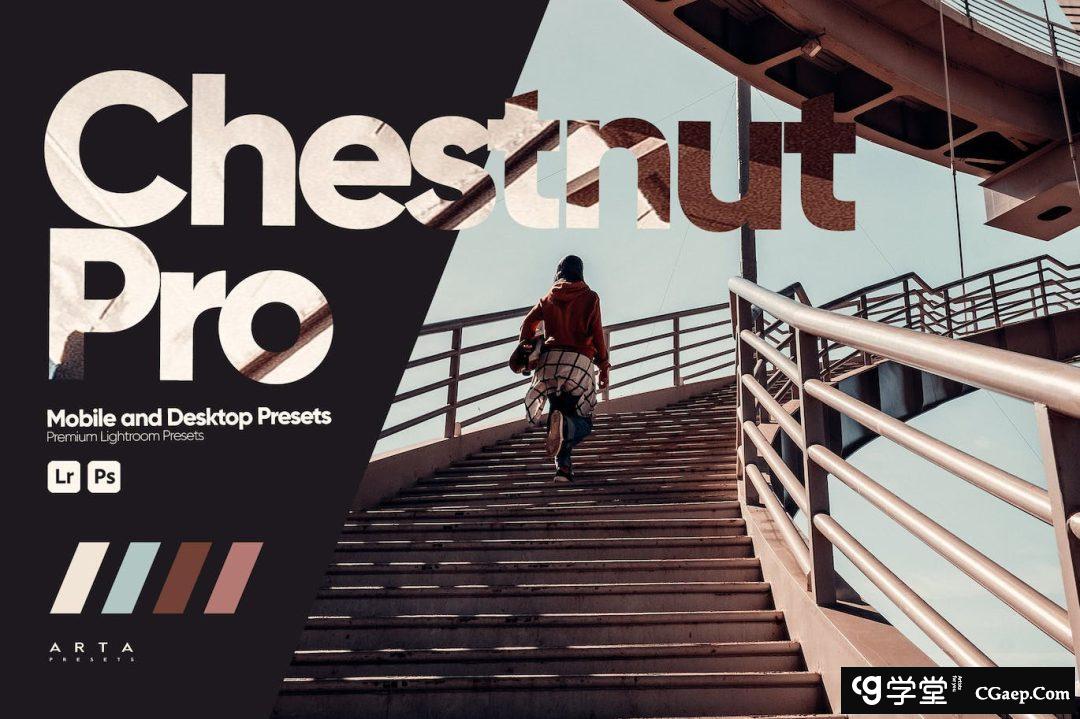 ARTA Presets- 栗色旅拍电影风光LR预设Chestnut Pro Presets for Lightroom