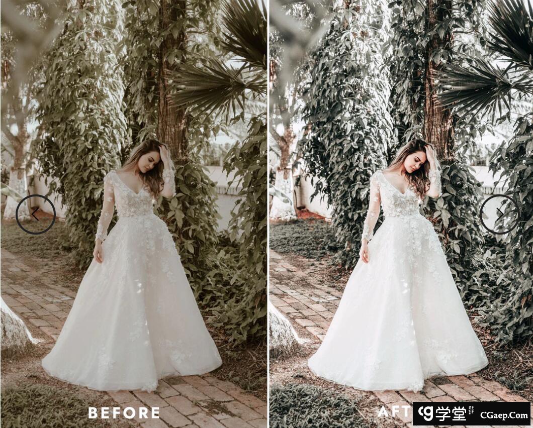 8d5a8b4a458fceeb8bb83b2424041818