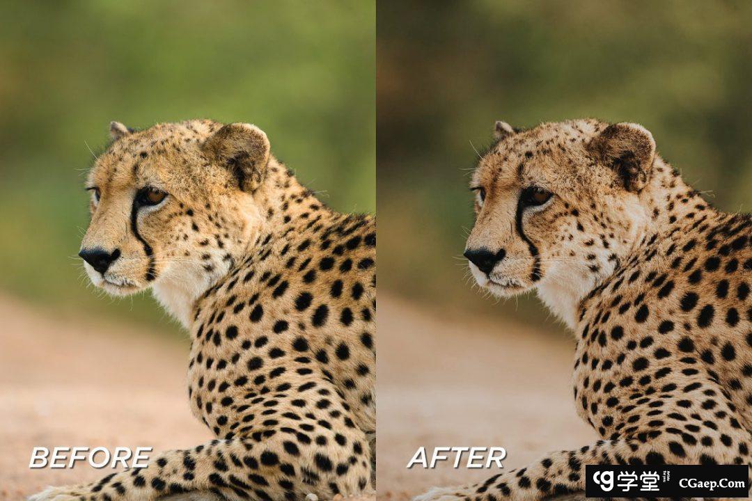 929d153f95d2baa1466e166649c486ea