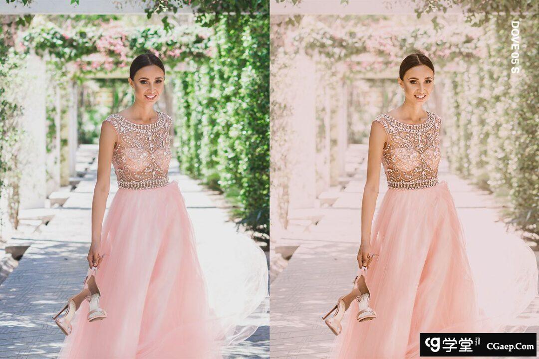 a178be556ade820a0259a46439340bdf